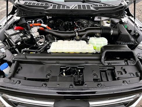 Used 2025 Ford F150 XLT w/ Equipment Group 303A High image 5