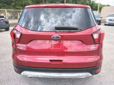 Used 2019 Ford Escape SE image 6