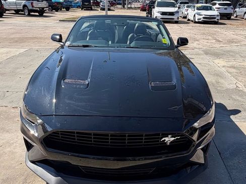 Used 2019 Ford Mustang GT Premium w/ Equipment Group 401A image 11