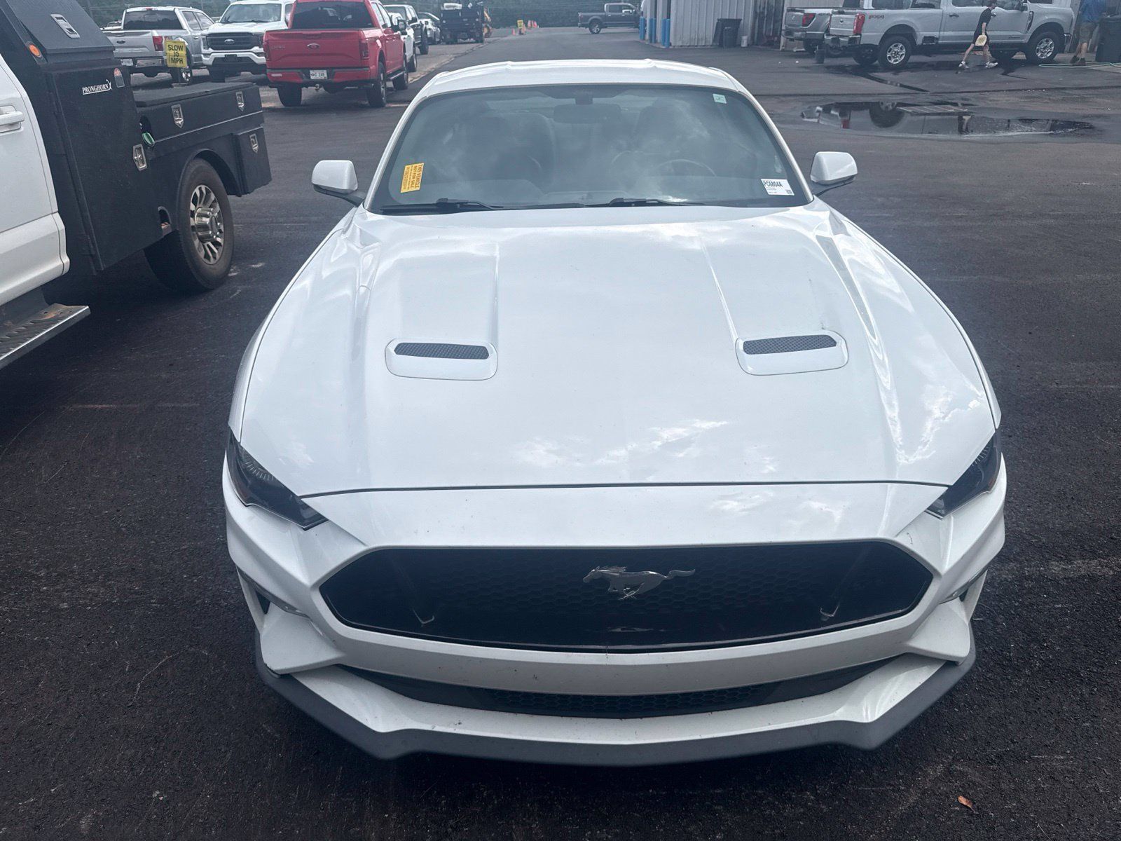Used 2018 Ford Mustang GT Premium RWD image 2
