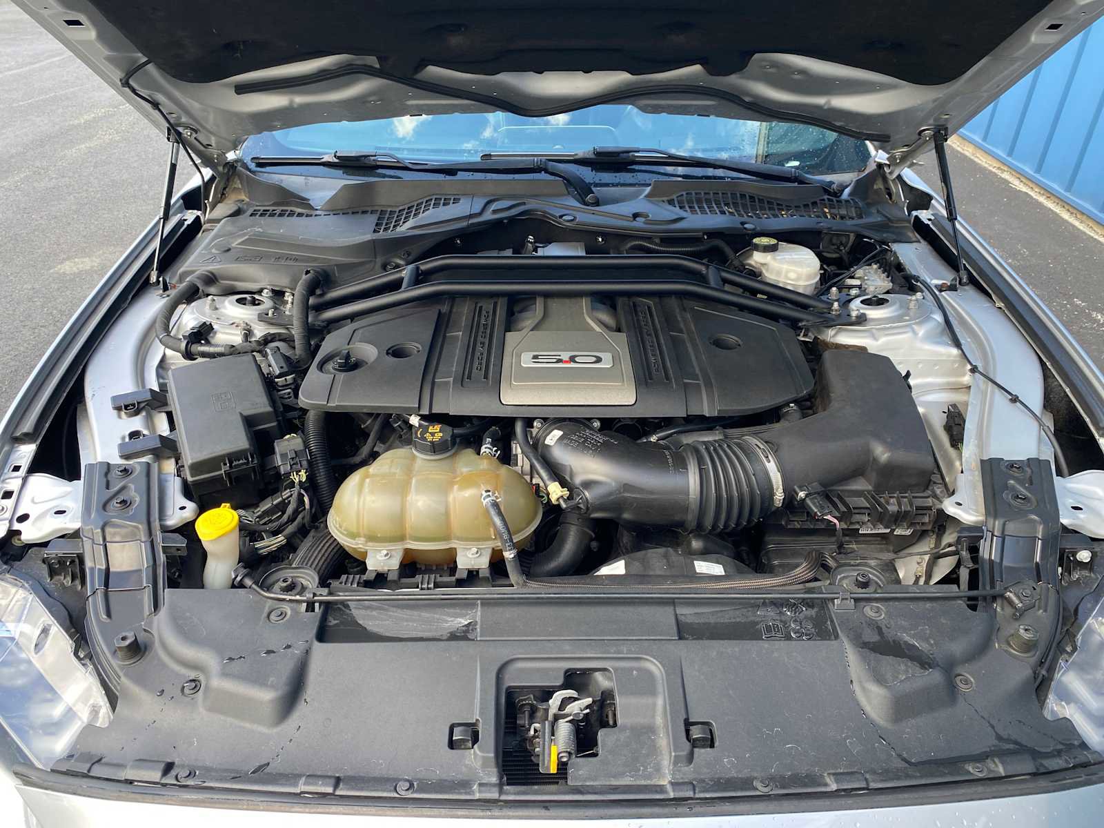 Used 2018 Ford Mustang GT Premium RWD image 6