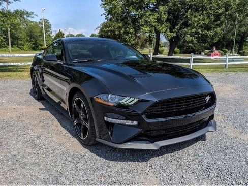 Used 2020 Ford Mustang GT Premium w/ Equipment Group 401A RWD image 3