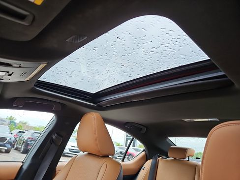 Used 2024 Lexus IS 350 F Sport w/ Accessory Package 2 AWD/4WD image 14