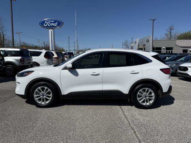 Used 2020 Ford Escape SE FWD image 2