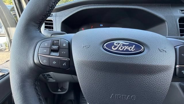 New 2026 Ford Transit 250 148 Medium Roof Extended AWD w/ Load Area Protection Package image 16
