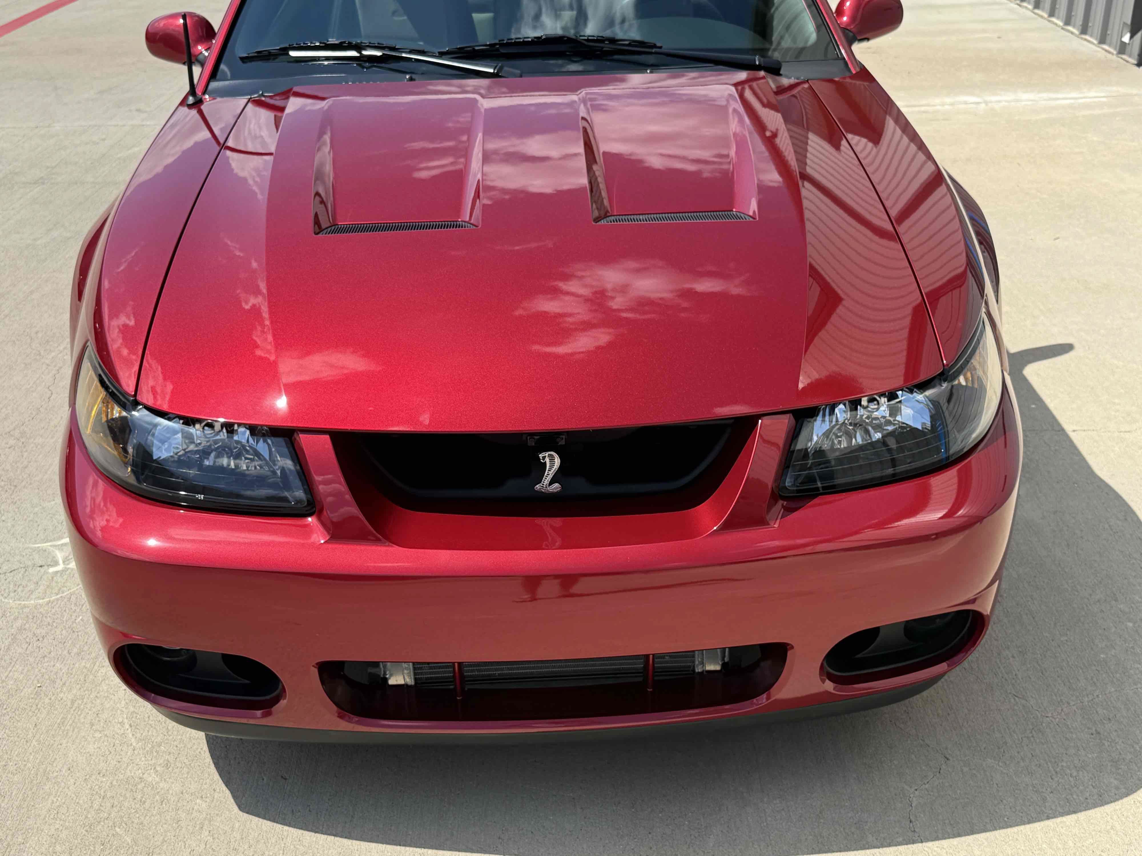 Used 2003 Ford Mustang Cobra RWD image 44