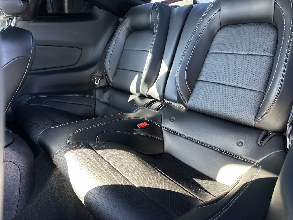 Used 2019 Ford Mustang GT Premium w/ GT Performance Package RWD image 14