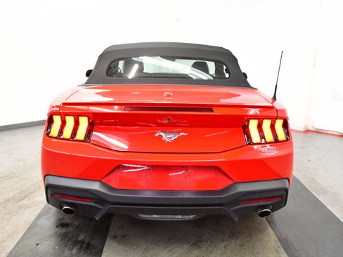 Used 2024 Ford Mustang Premium image 14