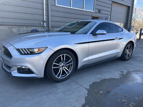 Used 2017 Ford Mustang Premium w/ Equipment Group 201A image 1
