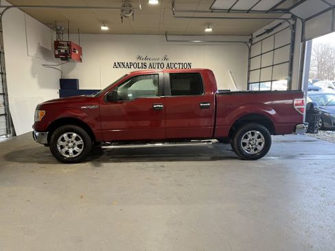 Used 2013 Ford F150 XLT w/ Luxury Equipment Group image 1