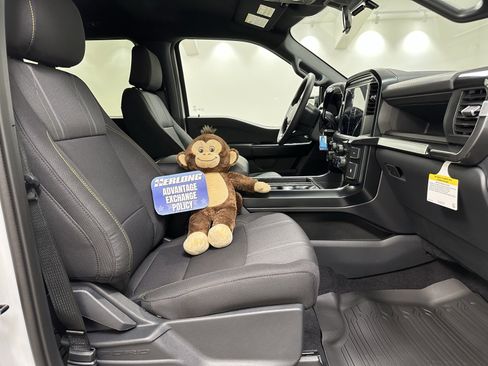 New 2025 Ford F150 STX w/ Equipment Group 200A image 18