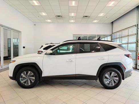 Used 2022 Hyundai Tucson Blue AWD/4WD image 5
