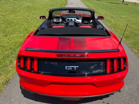 Used 2017 Ford Mustang GT Premium w/ Equipment Group 401A RWD image 5