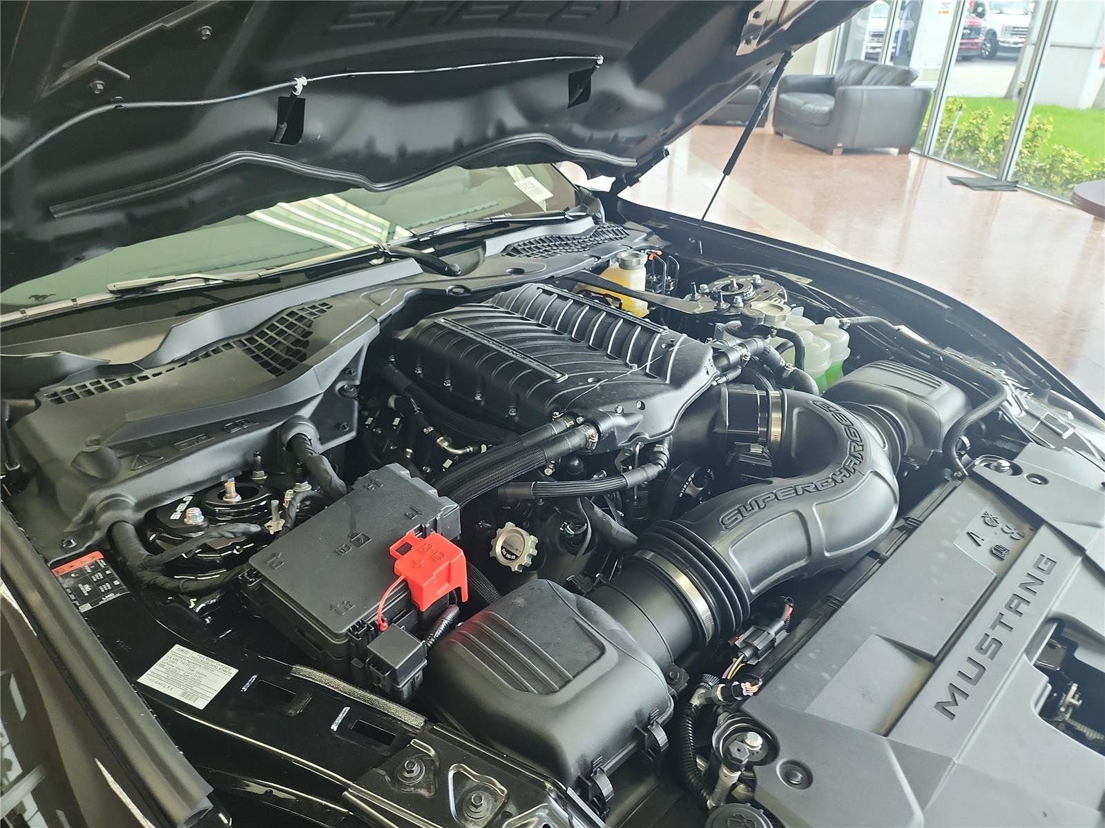 New 2026 Ford Mustang GT Premium w/ GT Performance Package RWD image 13