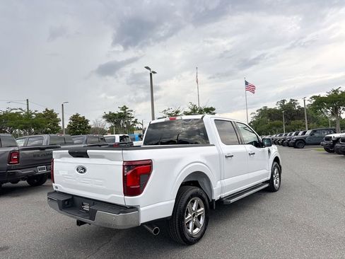 Used 2025 Ford F150 XLT w/ Equipment Group 301A Standard RWD image 3