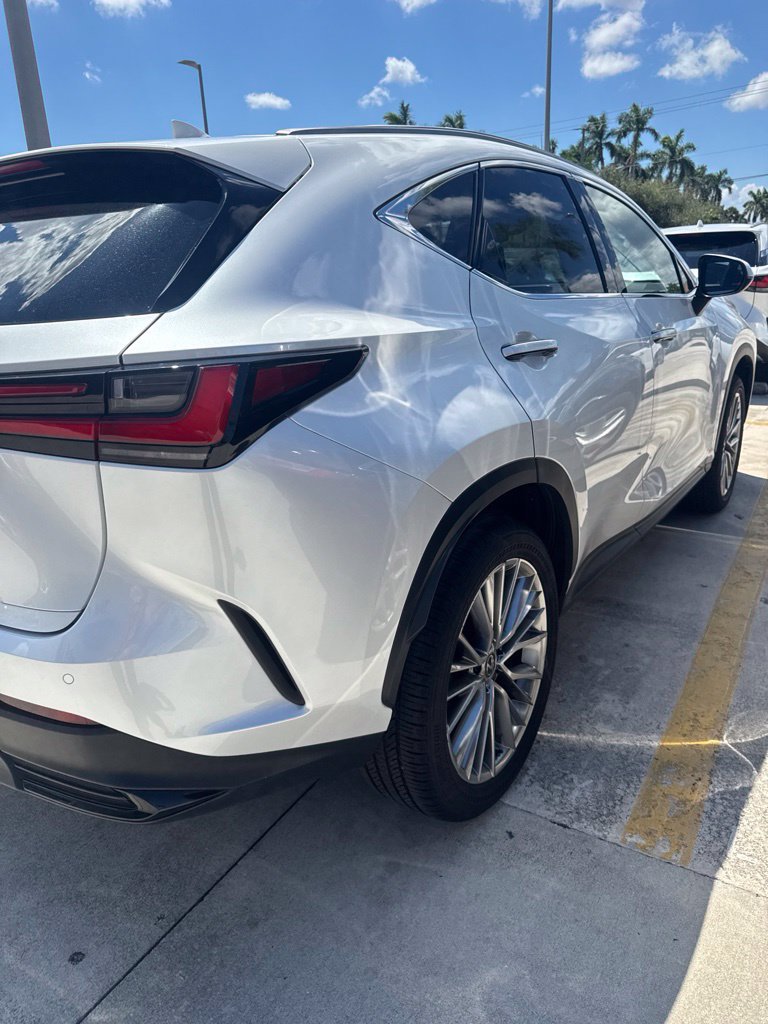 Certified 2025 Lexus NX 350h AWD w/ Cold Area Package image 5