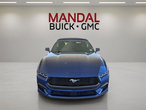 Used 2024 Ford Mustang Premium image 3