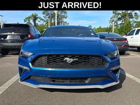 Used 2019 Ford Mustang Coupe RWD image 2