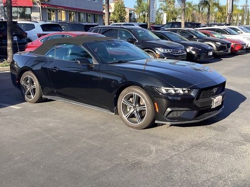 Used 2024 Ford Mustang Premium image 7