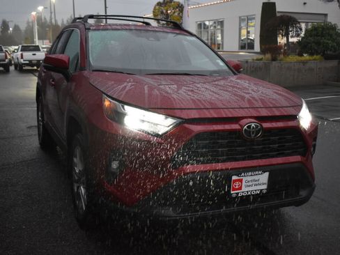 Certified 2025 Toyota RAV4 XLE Premium image 3