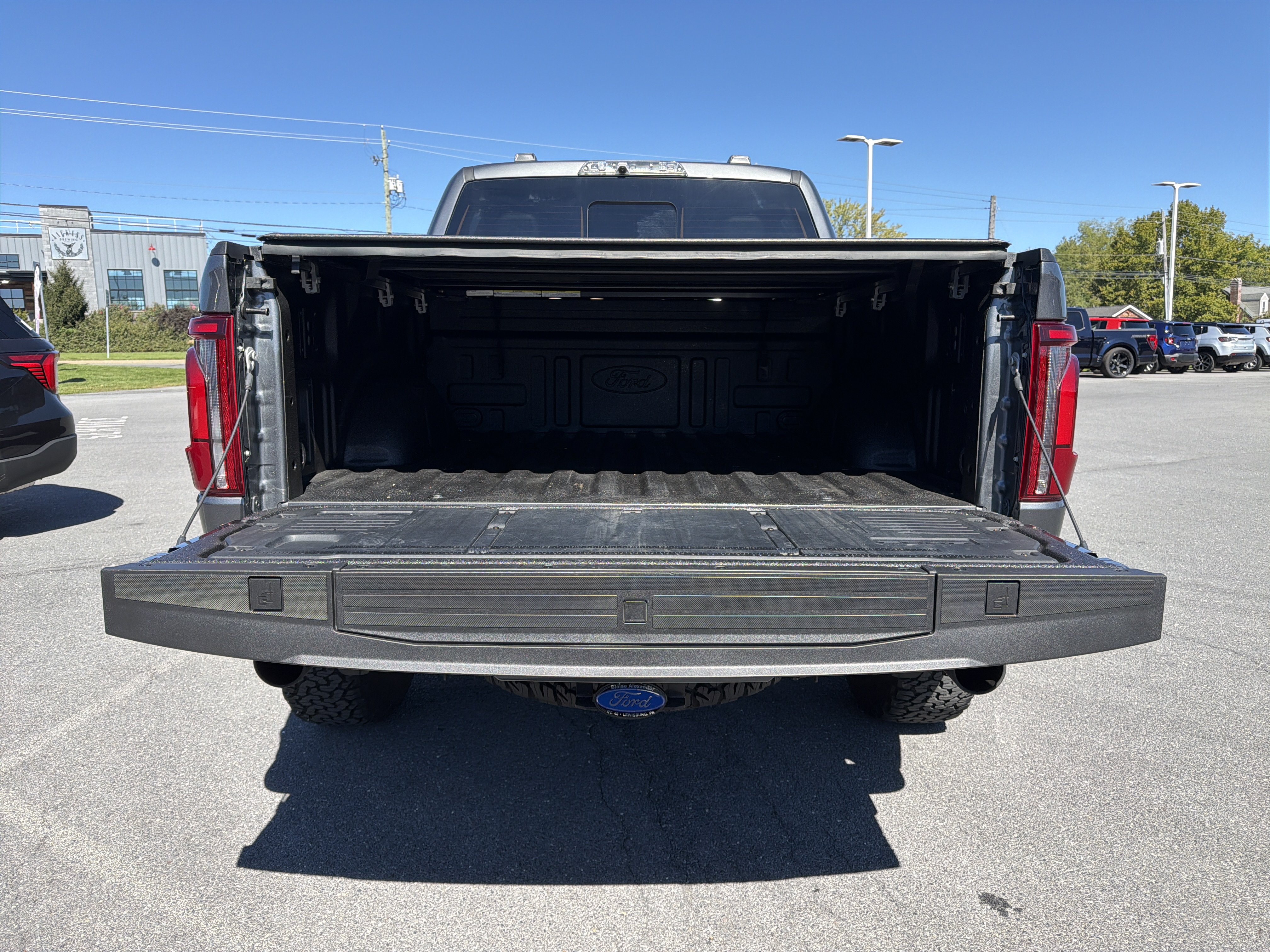 Used 2025 Ford F150 Raptor AWD/4WD image 5