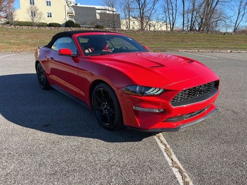 Certified 2019 Ford Mustang Premium w/ Equipment Group 201A image 12