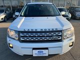 Used 2012 Land Rover LR2 HSE image 5