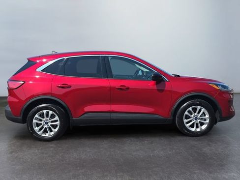 Used 2021 Ford Escape SE w/ Convenience Package AWD/4WD image 6