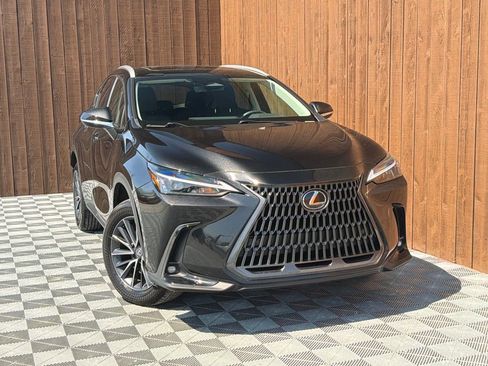 Used 2025 Lexus NX 250 FWD w/ Cold Area Package image 12
