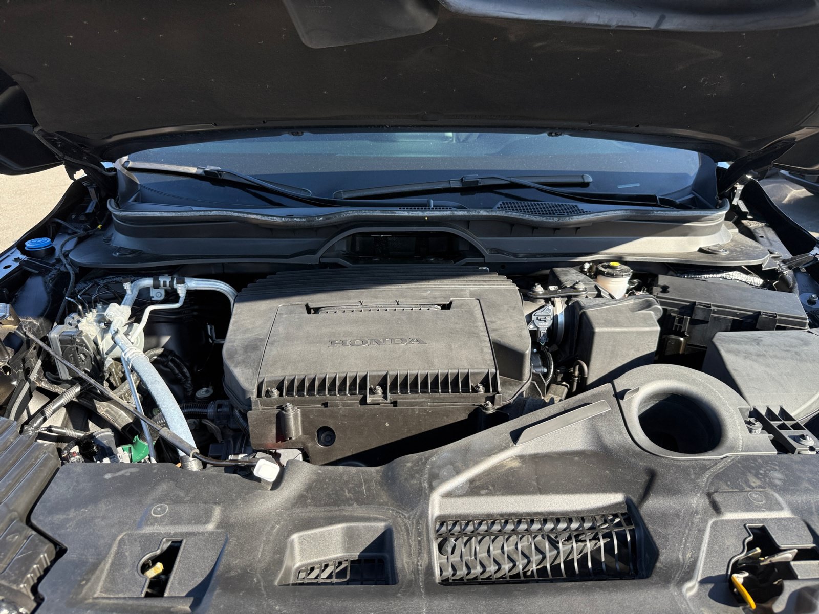 Used 2025 Honda Pilot TrailSport image 20