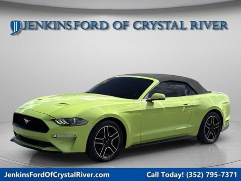 Used 2020 Ford Mustang Premium image 1