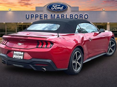 Certified 2024 Ford Mustang Premium RWD image 13