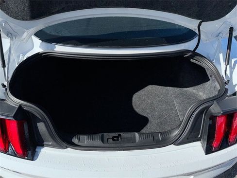 Used 2019 Ford Mustang Coupe w/ Equipment Group 101A image 15