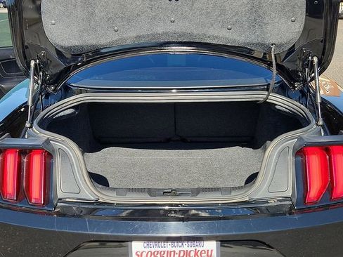 Used 2020 Ford Mustang Premium w/ Equipment Group 201A image 8