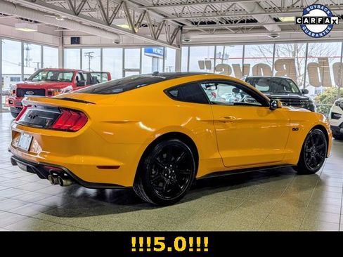 Used 2019 Ford Mustang GT w/ Equipment Group 301A image 9
