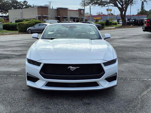 Used 2025 Ford Mustang Premium image 2