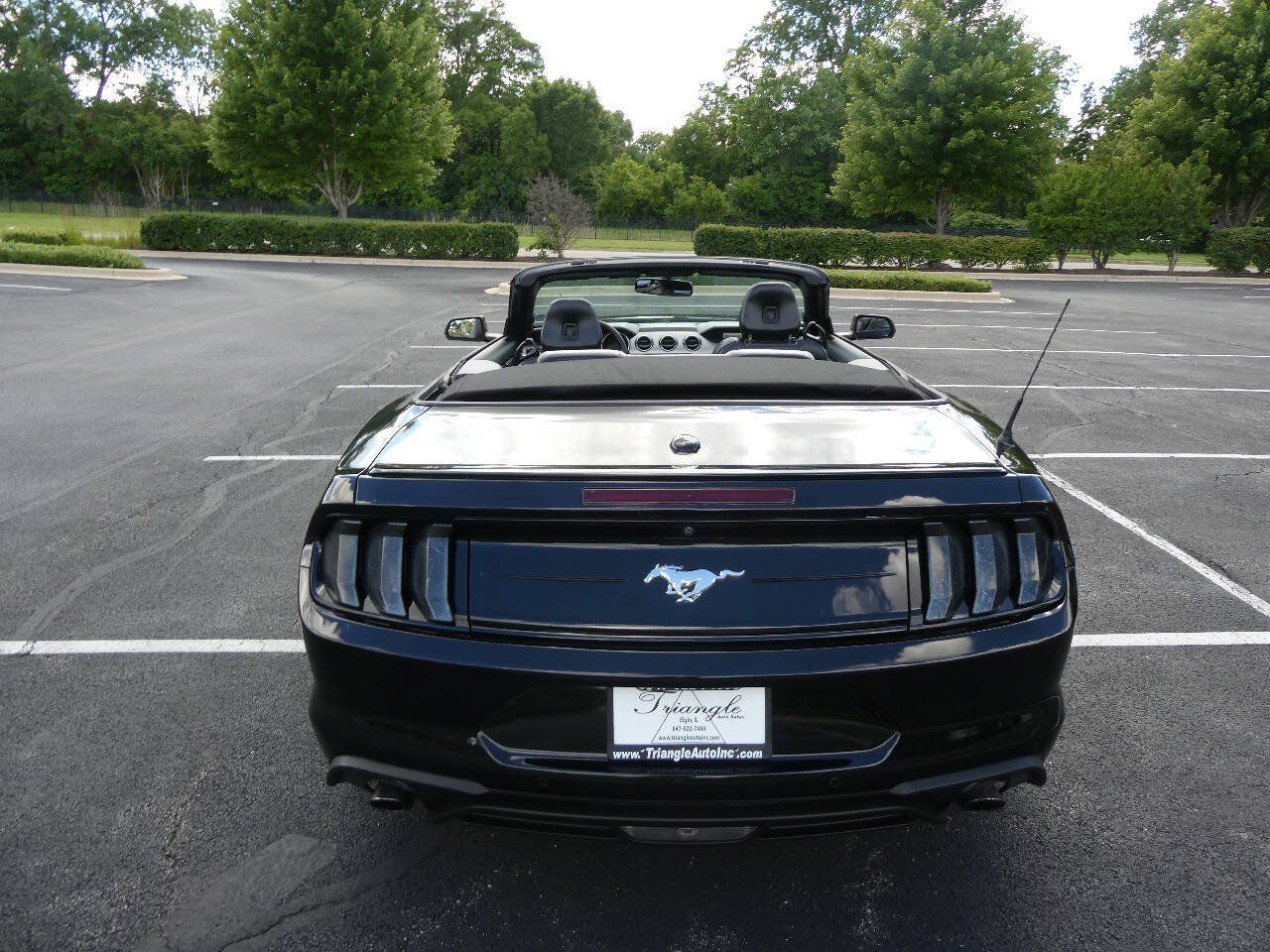 Used 2019 Ford Mustang Premium RWD image 13