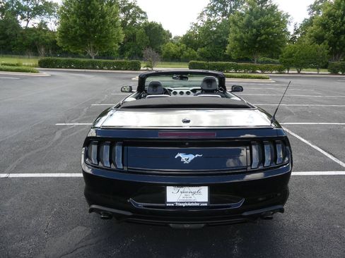 Used 2019 Ford Mustang Premium RWD image 13