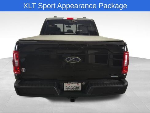 Used 2023 Ford F150 XLT w/ Equipment Group 302A High AWD/4WD image 6