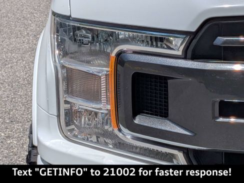 Used 2019 Ford F150 XLT w/ Equipment Group 302A Luxury RWD image 11