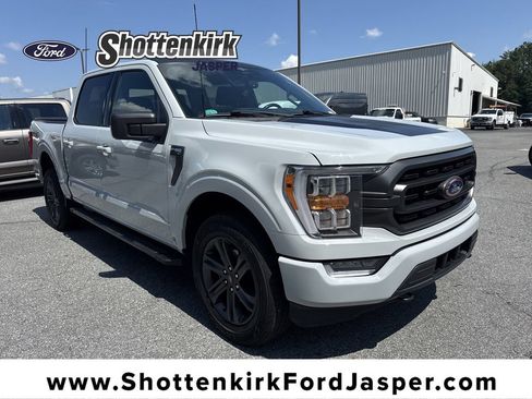 Used 2023 Ford F150 XLT w/ Equipment Group 302A High AWD/4WD image 1