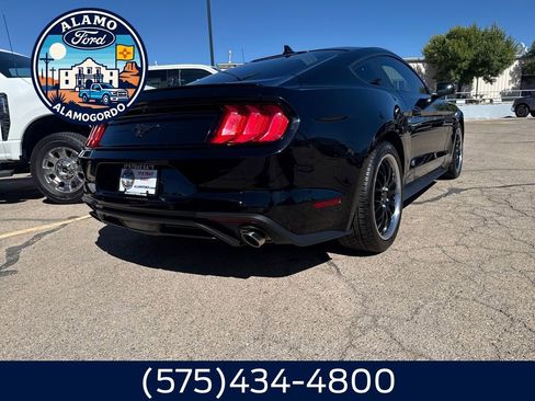 Used 2021 Ford Mustang Premium w/ Equipment Group 201A image 12