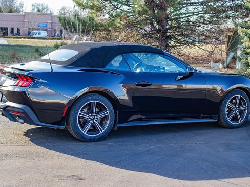 Used 2024 Ford Mustang Premium image 10