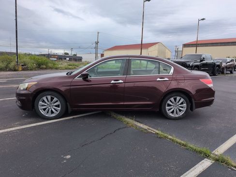 Used 2011 Honda Accord EX-L image 3