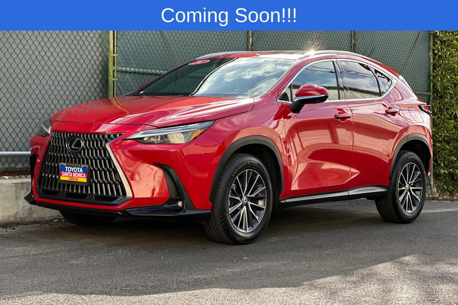 Used 2024 Lexus NX 350 AWD w/ Vision Package image 8