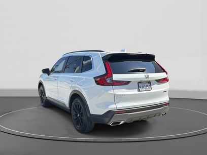 Used 2024 Honda CR-V Sport
