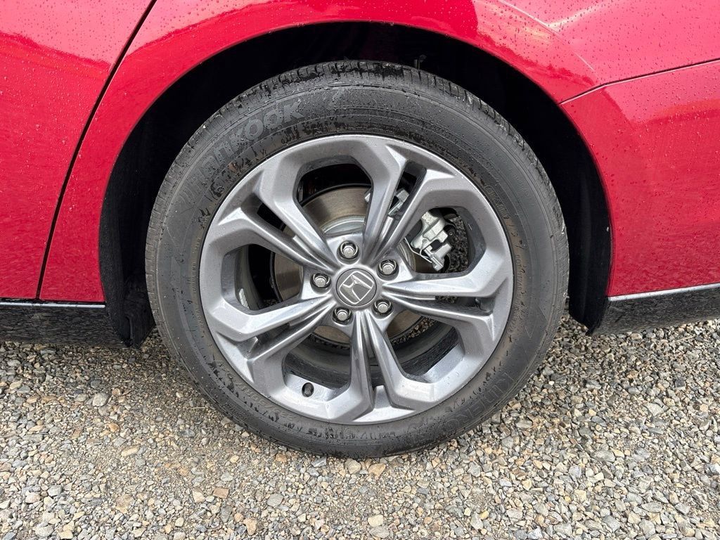 Used 2025 Honda Accord EX-L image 6