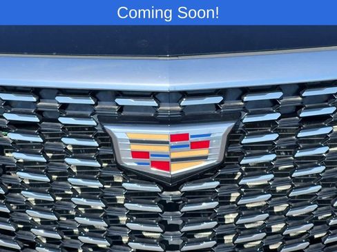 Used 2023 Cadillac XT5 Premium Luxury w/ LPO, Floor Liner Package AWD/4WD image 11