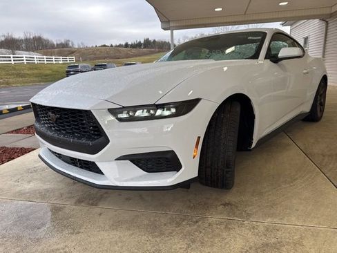 New 2026 Ford Mustang EcoBoost w/ Bronze Appearance Package image 8