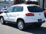 Used 2014 Volkswagen Tiguan SEL image 3